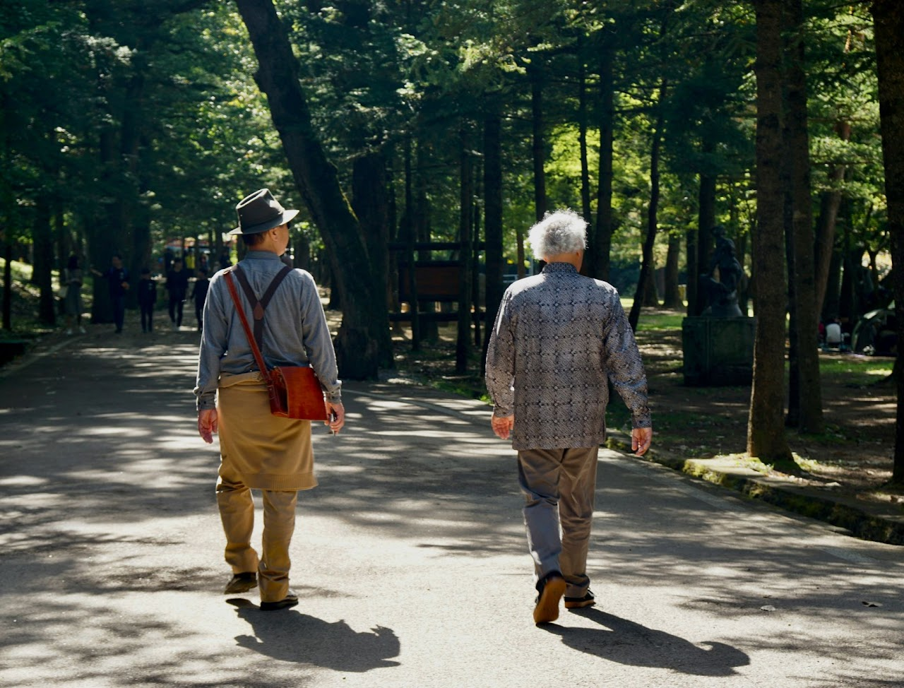 Silver Ways: Enhancing Walkability for Older Adults in 15-Minute Cities