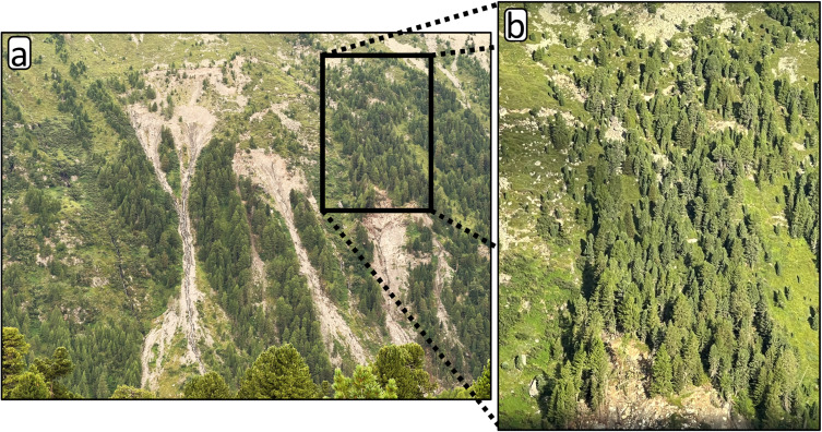 New Paper: Method for monitoring landslides in forested area