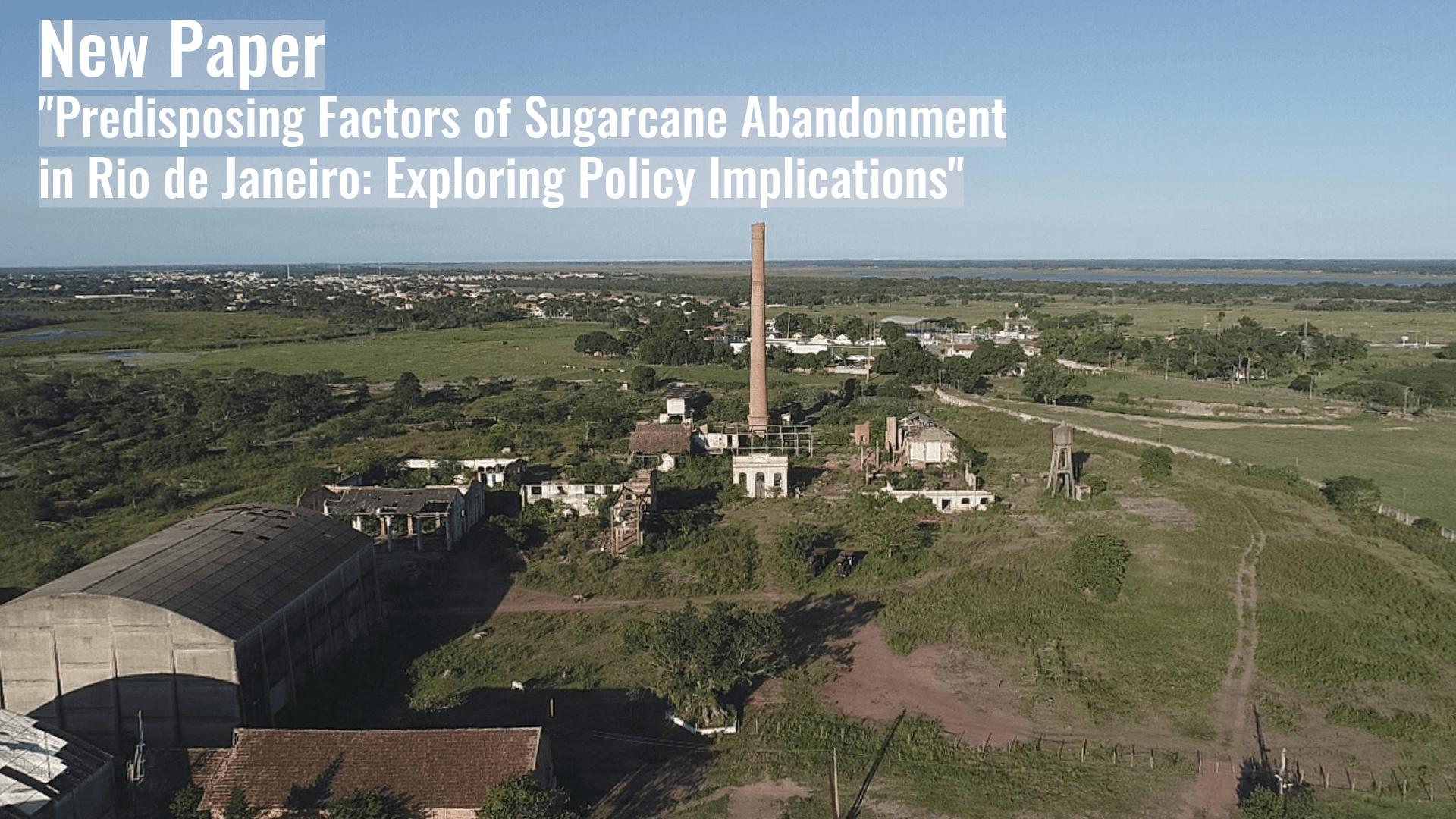 New Paper “Predisposing Factors of Sugarcane Abandonment in Rio de Janeiro: Exploring Policy Implications”